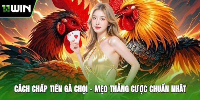 Cách Chấp Tiền Gà Chọi