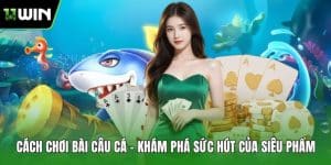 Cách Chơi Bài Câu Cá