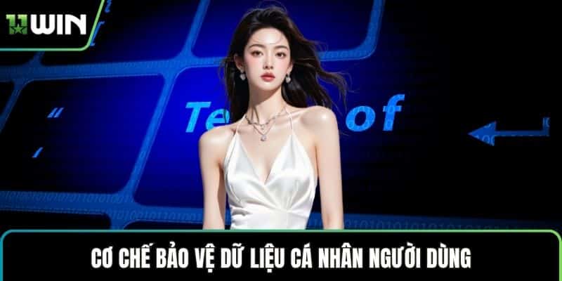 Cơ chế bảo vệ dữ liệu cá nhân người dùng