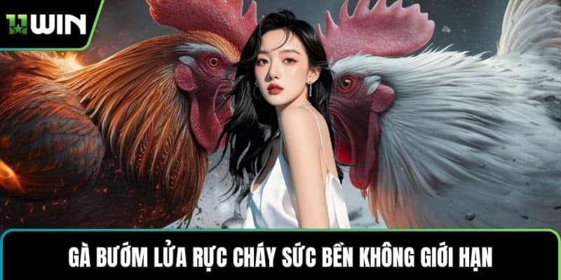 Gà bướm lửa rực cháy sức bền không giới hạn