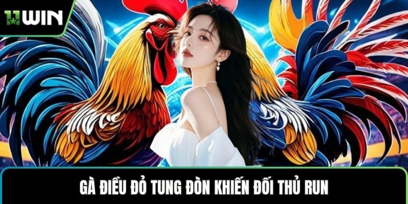 Gà điều đỏ tung đòn khiến đối thủ run