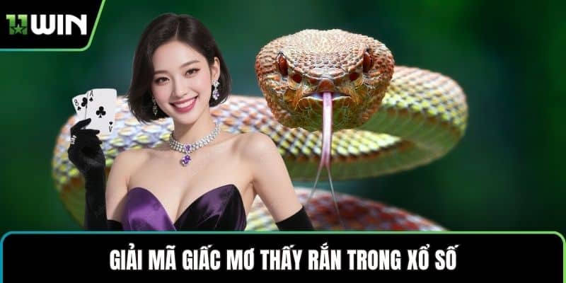 Giải mã giấc mơ thấy rắn trong xổ số