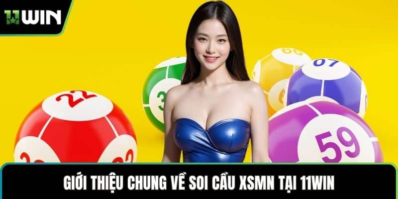 Giới thiệu chung về soi cầu XSMN tại 11WIN