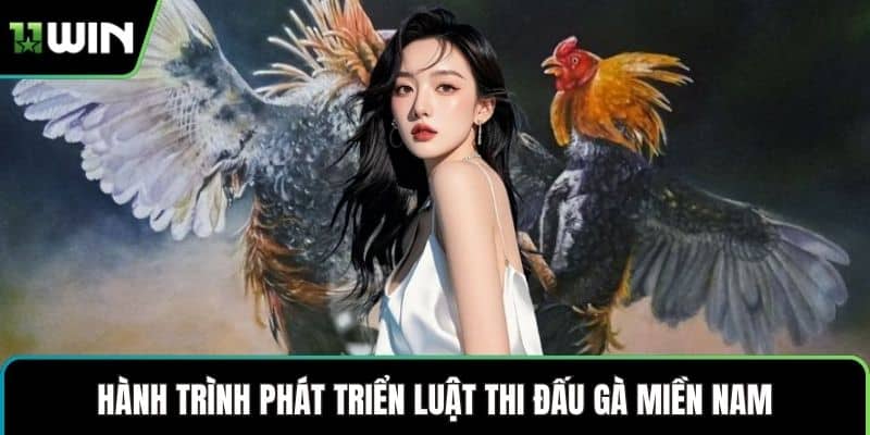 Hành trình phát triển luật thi đấu gà miền Nam