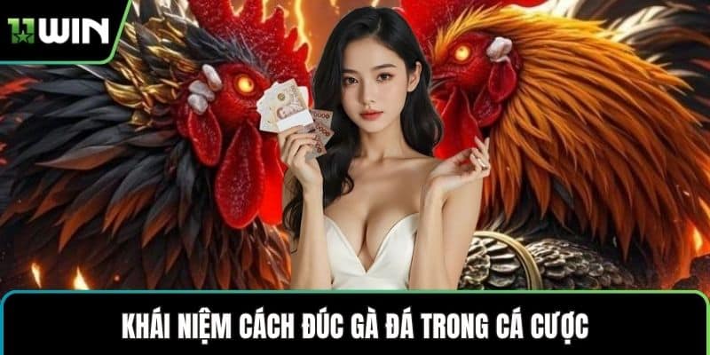 Khái niệm cách đúc gà đá trong cá cược