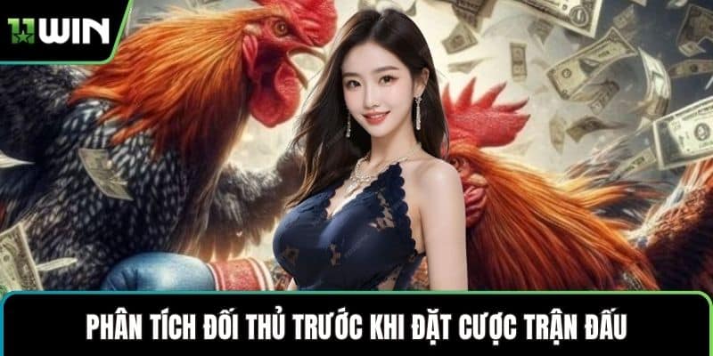 Phân tích đối thủ trước khi đặt cược trận đấu