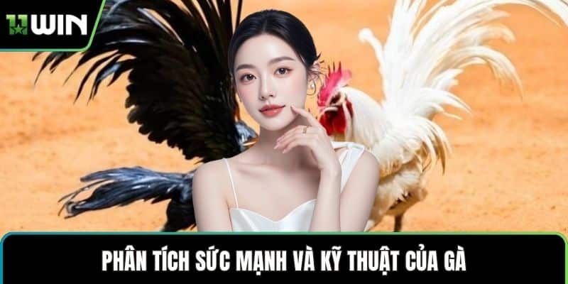 Phân tích sức mạnh và kỹ thuật của gà