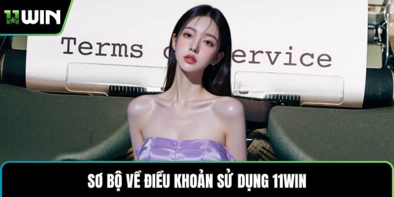 Sơ bộ về điều khoản sử dụng 11WIN