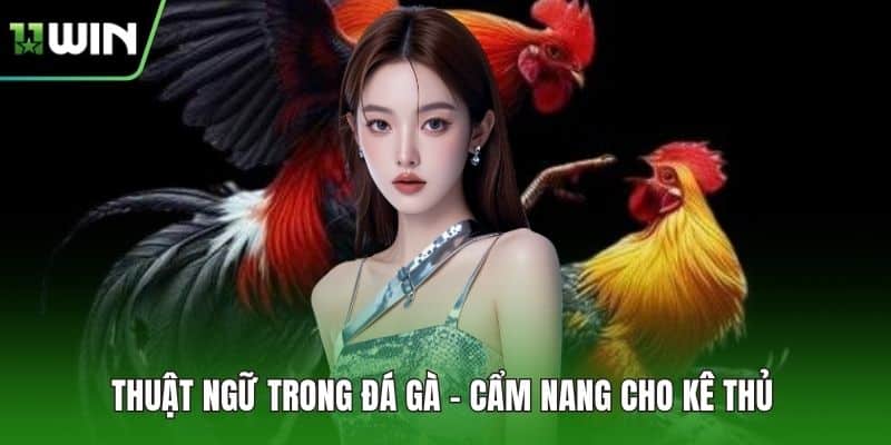 Thuật Ngữ Trong Đá Gà