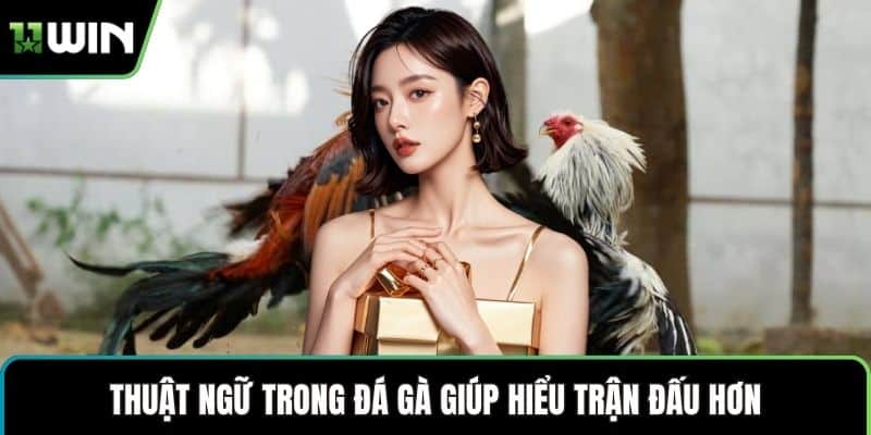Thuật ngữ trong đá gà giúp hiểu trận đấu hơn