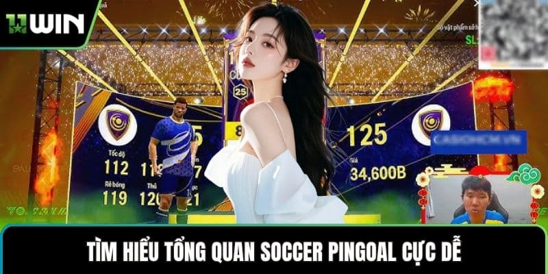 Tìm hiểu tổng quan Soccer Pingoal cực dễ