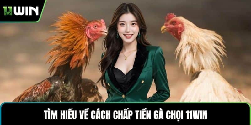 Tìm hiểu về cách chấp tiền gà chọi 11WIN