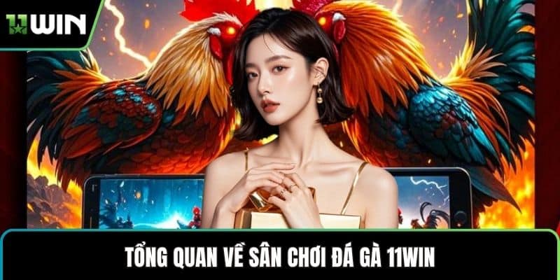 Tổng quan về sân chơi đá gà 11WIN