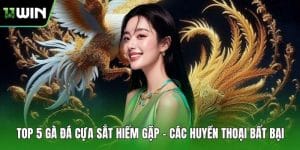 Top 5 Gà Đá Cựa Sắt Hiếm Gặp