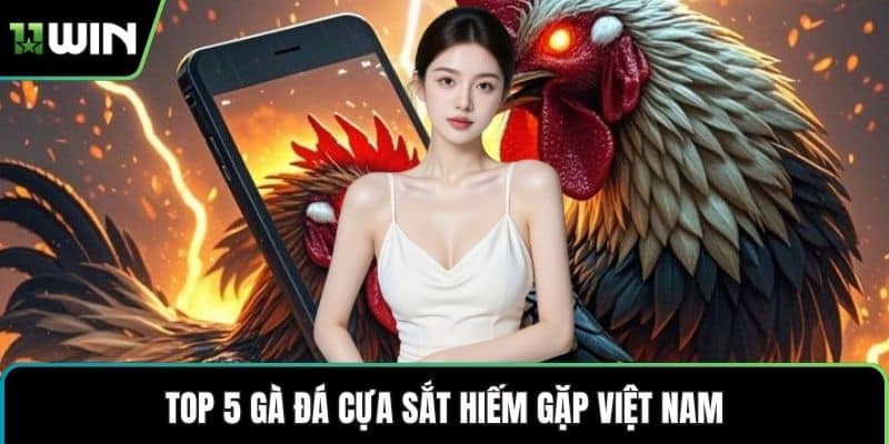 Top 5 gà đá cựa sắt hiếm gặp Việt Nam