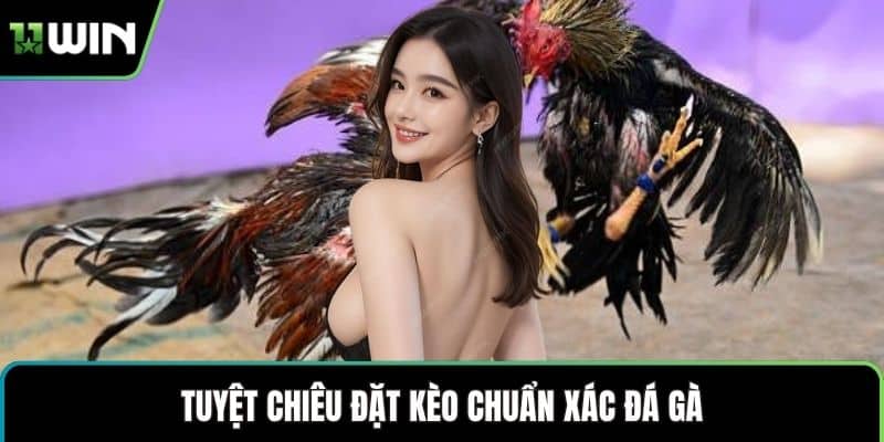Tuyệt chiêu đặt kèo chuẩn xác đá gà